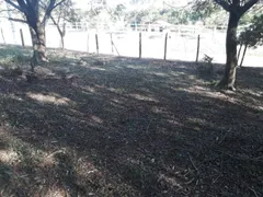 Fazenda / Sítio / Chácara com 8 Quartos à venda, 20000m² no Haras Paineiras, Salto - Foto 40