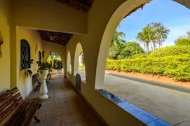 Fazenda / Sítio / Chácara com 3 Quartos à venda, 300m² no Zona Rural, Luziânia - Foto 6