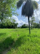 Fazenda / Sítio / Chácara à venda, 1064000m² no Centro, Palmeiras de Goiás - Foto 1