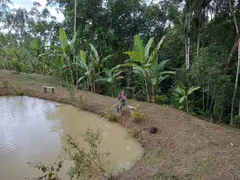 Fazenda / Sítio / Chácara à venda, 6560m² no Timbe, Tijucas - Foto 11