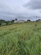 Fazenda / Sítio / Chácara com 3 Quartos à venda, 20000m² no Zona Rural, Monte Alegre - Foto 17