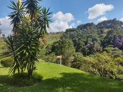 Terreno / Lote / Condomínio à venda, 4000m² no Itaipava, Petrópolis - Foto 5