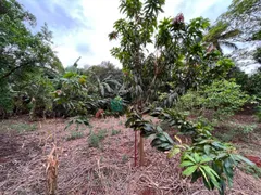 Fazenda / Sítio / Chácara à venda, 5255m² no Jardim Nilza, Maringá - Foto 21