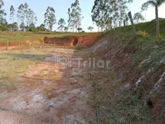 Terreno / Lote Comercial à venda, 1500m² no , Santa Branca - Foto 7