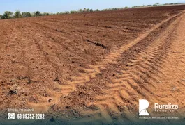 Fazenda / Sítio / Chácara à venda, 500m² no Zona Rural, Porto Nacional - Foto 9