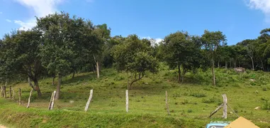 Fazenda / Sítio / Chácara com 3 Quartos à venda, 27225m² no Tietê, Araucária - Foto 2