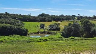 Fazenda / Sítio / Chácara com 5 Quartos à venda, 319m² no Passo da Areia, Viamão - Foto 56