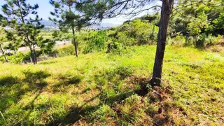 Terreno / Lote / Condomínio à venda, 2640m² no Areias de Palhocinha, Garopaba - Foto 14