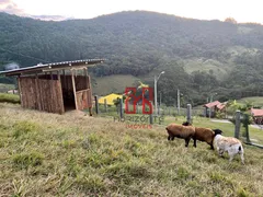 Fazenda / Sítio / Chácara à venda, 15000m² no Beira Rio, Biguaçu - Foto 9