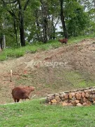 Terreno / Lote / Condomínio à venda, 2172m² no Sitio de Recreio Mansoes Bernardo Sayao, Goiânia - Foto 5