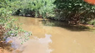 Fazenda / Sítio / Chácara com 2 Quartos à venda, 54250000m² no Zona Rural, Buritizeiro - Foto 23