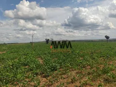 Fazenda / Sítio / Chácara à venda, 160000000m² no , Fortuna - Foto 25