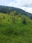 Terreno / Lote / Condomínio à venda, 49000m² no Zona Rural, Camanducaia - Foto 4