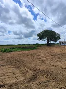 Fazenda / Sítio / Chácara com 3 Quartos à venda, 13500m² no Zona Rural, Monte Alegre - Foto 19