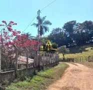 Fazenda / Sítio / Chácara com 3 Quartos à venda, 170m² no Zona Rural, Turvolândia - Foto 42