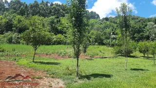 Fazenda / Sítio / Chácara com 3 Quartos à venda, 100m² no Pinhal Alto, Nova Petrópolis - Foto 12