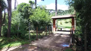 Fazenda / Sítio / Chácara com 3 Quartos à venda, 10000m² no Vila Dom Pedro II, Campo Largo - Foto 10