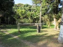 Fazenda / Sítio / Chácara com 6 Quartos à venda, 5600m² no Agro Brasil, Cachoeiras de Macacu - Foto 7
