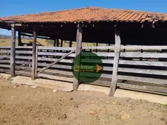 Fazenda / Sítio / Chácara com 1 Quarto à venda, 4694800m² no Zona Rural, Urutaí - Foto 6