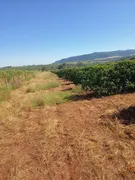 Fazenda / Sítio / Chácara com 6 Quartos à venda, 266200m² no Zona Rural, Altinópolis - Foto 5