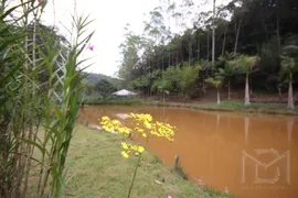 Fazenda / Sítio / Chácara com 3 Quartos à venda, 2500m² no Araguaia, Marechal Floriano - Foto 12