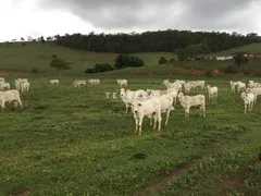 Fazenda / Sítio / Chácara com 3 Quartos à venda, 300m² no Volta do Piao, Teresópolis - Foto 6