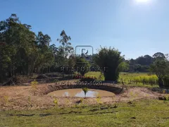 Fazenda / Sítio / Chácara com 1 Quarto à venda, 70m² no Branquinha, Viamão - Foto 31