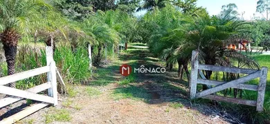 Fazenda / Sítio / Chácara com 4 Quartos à venda, 600m² no Limoeiro, Londrina - Foto 1