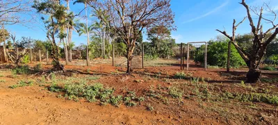 Fazenda / Sítio / Chácara à venda, 1075m² no Conjunto Vale Azul, Sarandi - Foto 5