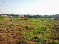 Terreno / Lote Comercial para venda ou aluguel, 5204m² no Conjunto Vivi Xavier, Londrina - Foto 1