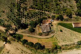 Fazenda / Sítio / Chácara com 4 Quartos à venda, 1016400m² no Providencia, Teresópolis - Foto 3