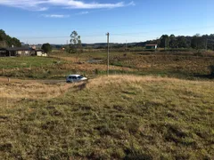 Fazenda / Sítio / Chácara à venda, 3000m² no Vila Seca, Caxias do Sul - Foto 5