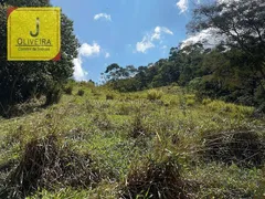 Fazenda / Sítio / Chácara à venda, 100000m² no , Coronel Pacheco - Foto 14