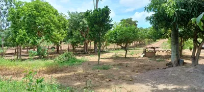 Fazenda / Sítio / Chácara com 4 Quartos à venda, 30000m² no Area Rural do Paranoa, Brasília - Foto 17