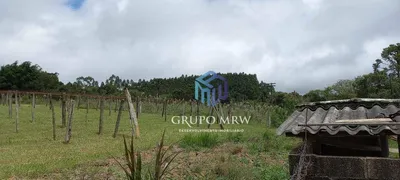 Fazenda / Sítio / Chácara com 3 Quartos à venda, 110m² no Zona Rural, Pilar do Sul - Foto 25