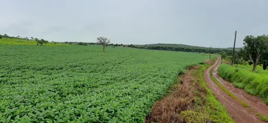 Fazenda / Sítio / Chácara à venda, 115000m² no Paranoá, Brasília - Foto 9