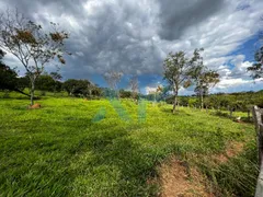 Fazenda / Sítio / Chácara com 3 Quartos à venda, 300m² no Zona Rural, São Sebastião do Oeste - Foto 39