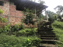 Fazenda / Sítio / Chácara com 3 Quartos à venda, 60m² no Centro, Bocaiúva do Sul - Foto 3