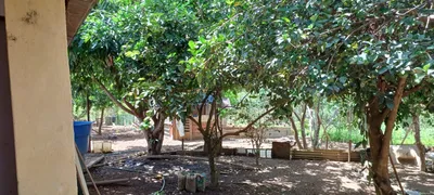 Fazenda / Sítio / Chácara com 4 Quartos à venda, 30000m² no Area Rural do Paranoa, Brasília - Foto 24