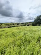 Fazenda / Sítio / Chácara com 3 Quartos à venda, 21600m² no Zona Rural, Monte Alegre - Foto 5