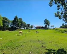 Fazenda / Sítio / Chácara com 2 Quartos à venda, 23000m² no Faxina, São José dos Pinhais - Foto 9