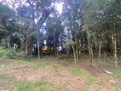 Terreno / Lote / Condomínio à venda, 802m² no Floresta, Gramado - Foto 14