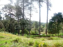 Terreno / Lote Comercial para venda ou aluguel, 20000m² no Lagoa, Vargem Grande Paulista - Foto 1