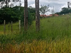 Fazenda / Sítio / Chácara com 2 Quartos à venda, 80m² no Area Rural de Itapetininga, Itapetininga - Foto 3