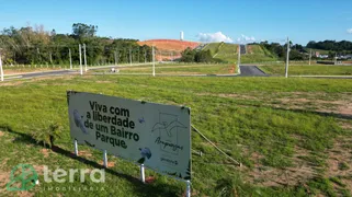 Terreno / Lote / Condomínio à venda no Arapongas, Indaial - Foto 12