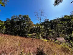 Fazenda / Sítio / Chácara com 4 Quartos à venda, 200m² no Albuquerque, Teresópolis - Foto 44