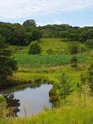 Fazenda / Sítio / Chácara com 5 Quartos à venda, 130000m² no Santa Lúcia do Piaí, Caxias do Sul - Foto 13