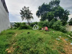 Terreno / Lote / Condomínio à venda, 446m² no Jardim de Lourdes, Embu das Artes - Foto 7