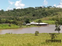 Fazenda / Sítio / Chácara com 7 Quartos à venda, 320m² no Zona Rural, Bela Vista de Goiás - Foto 20