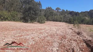 Terreno / Lote / Condomínio à venda, 50000m² no Linha Brasil, Nova Petrópolis - Foto 26